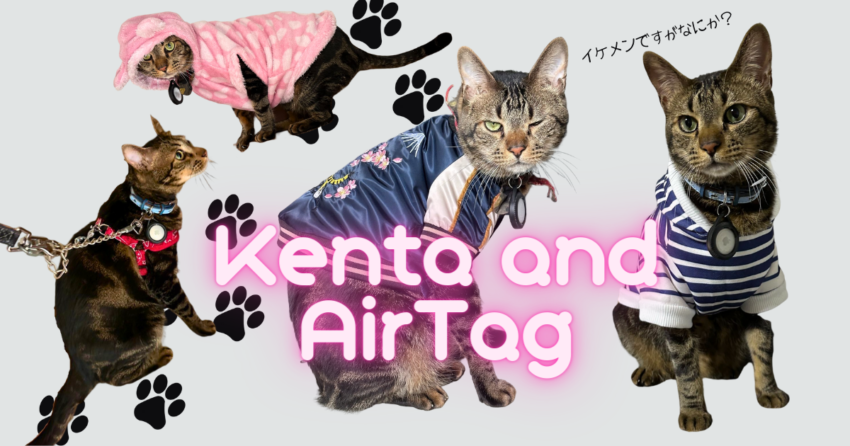 AirTagと健ちゃんコレクション